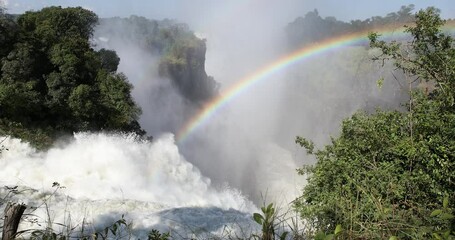 Majestic Victoria Falls in Zimbabwe, thundering waterfall creating massive spray clouds and rainbows against lush green jungle backdrop. Natural world wonder on Zambezi River. African wilderness.