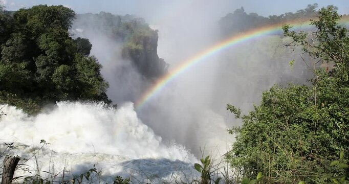 Majestic Victoria Falls in Zimbabwe, thundering waterfall creating massive spray clouds and rainbows against lush green jungle backdrop. Natural world wonder on Zambezi River. African wilderness.