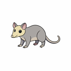 possum vector illustration