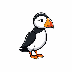 vector illustration of a puffin