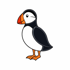 vector illustration of a puffin