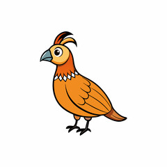 quail bird on a white background
