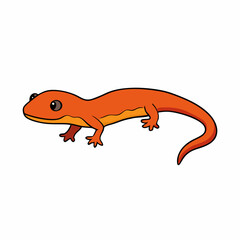 Fototapeta premium salamander on a white background