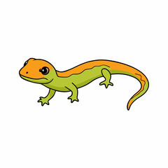 Fototapeta premium salamander on a white background