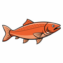 salmon fish on a white background