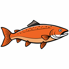 salmon fish on a white background