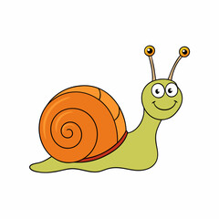 snail on a white background