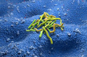 Helicobacter pylori bacteria - isometric view 3d illustration
