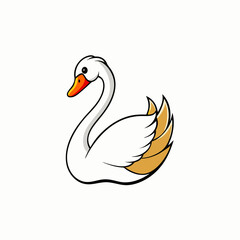  swan vector illustration