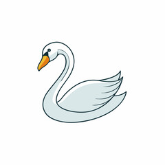  swan vector illustration