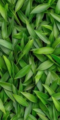 Fototapeta premium Closeup image of a lush green plant displaying vibrant leaves and rich natural texture
