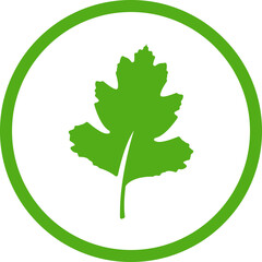 Leaf icon. Green leafs icons set. Eco, bio, natural, vegan icon. Leaves of trees and plants. Leaves icon Collection illustration