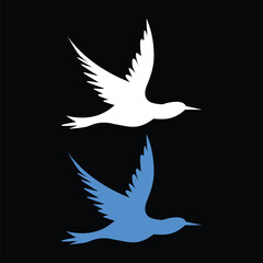 Fototapeta premium bird of peace