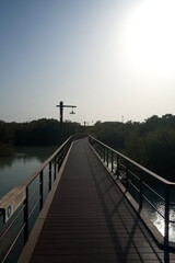 Abu Dhabi, United Arab Emirates – March 02, 2025, the view of the Jubail Mangrove Parks the first self-contained educational, nature and leisure destination