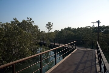 Abu Dhabi, United Arab Emirates – March 02, 2025, the view of the Jubail Mangrove Parks the first self-contained educational, nature and leisure destination