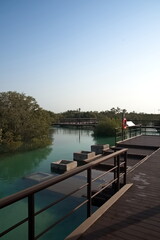 Abu Dhabi, United Arab Emirates – March 02, 2025, the view of the Jubail Mangrove Parks the first self-contained educational, nature and leisure destination