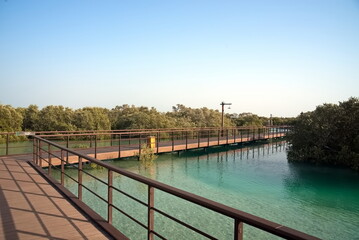 Abu Dhabi, United Arab Emirates – March 02, 2025, the view of the Jubail Mangrove Parks the first self-contained educational, nature and leisure destination