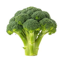 Food Lower Blood Pressure Fresh green broccoli on a black background.