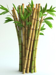 Fototapeta premium Bundle of bamboo stalks growing on white background