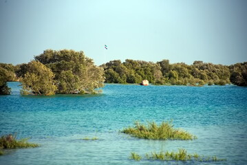 Abu Dhabi, United Arab Emirates – March 02, 2025, the view of the Jubail Mangrove Parks the first self-contained educational, nature and leisure destination
