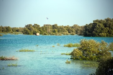 Abu Dhabi, United Arab Emirates – March 02, 2025, the view of the Jubail Mangrove Parks the first self-contained educational, nature and leisure destination