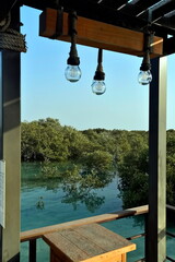 Abu Dhabi, United Arab Emirates – March 02, 2025, the view of the Jubail Mangrove Parks the first self-contained educational, nature and leisure destination