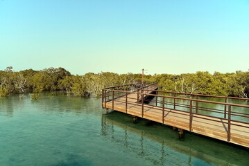 Abu Dhabi, United Arab Emirates – March 02, 2025, the view of the Jubail Mangrove Parks the first self-contained educational, nature and leisure destination