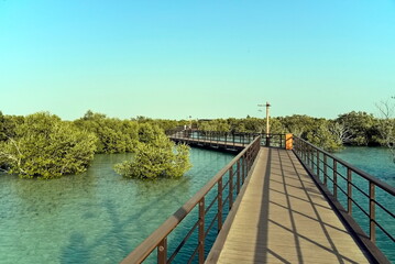 Abu Dhabi, United Arab Emirates – March 02, 2025, the view of the Jubail Mangrove Parks the first self-contained educational, nature and leisure destination