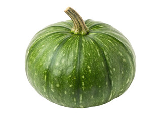 green hedge row on white