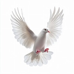 Obraz premium A stunning white dove mid-flight symbolizes peace and purity, perfect for International Day of Peace, religious events, or conveying a sense of serenity and freedom.
