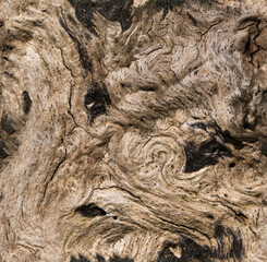 A close-up image showcases the intricate patterns and textures of dry wood, revealing a seamless blend of light and dark tones with swirling grain and weathered cracks 