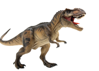Tyrannosaurus Rex Toy