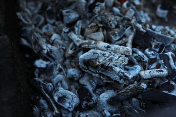 Ashes from wood in a burnt fire