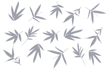 Bamboo leaf composition in design. Vector romantic landscape with bamboo trees on a gray and  white background.