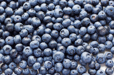 Fresh blueberry background texture. Close up.