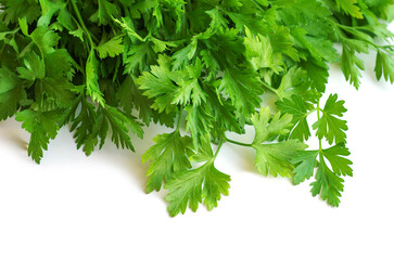 Parsley isolated on white background