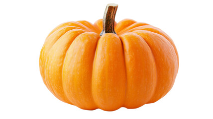 Ripe pumpkin isolated on transparent background representing autumn harvest