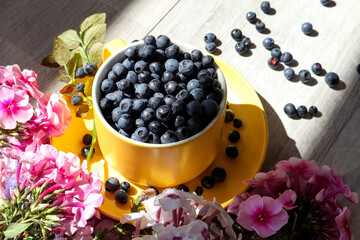 Fresh blueberries in a yellow cup among bright flowers