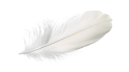 Obraz premium Single white feather floating on transparent background