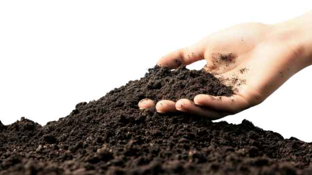 Farmer holding fertile soil in hand on transparent background