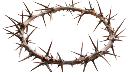 Crown of thorns representing suffering and sacrifice on transparent background