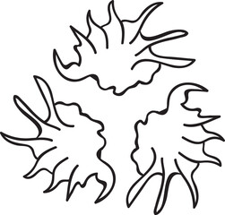 Sea shells ornament , nautical pattern, marine mandala