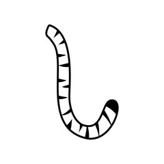 Tiger Tail Animal