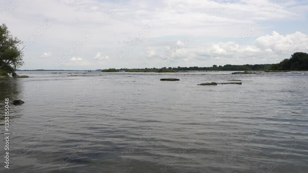 Poster several insects swiftly move across the surface of the water, creating a spherical vision. in the ba