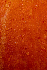 orange pumpkin with sweet flesh