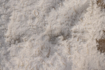 white powdered crystalline sugar from sugar beet