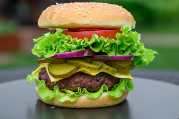 Apetyczny warstwowy burger kanapka z bliska, street food
