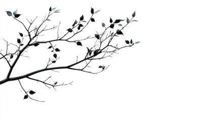 Bare tree branch with leaves