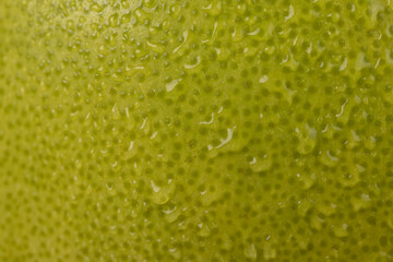 an unripe green grapefruit covered with water droplets