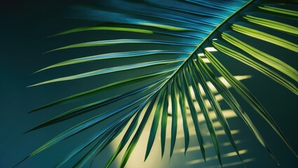 abstract palm leaf textures on deep blue tone, natural green backdrop.